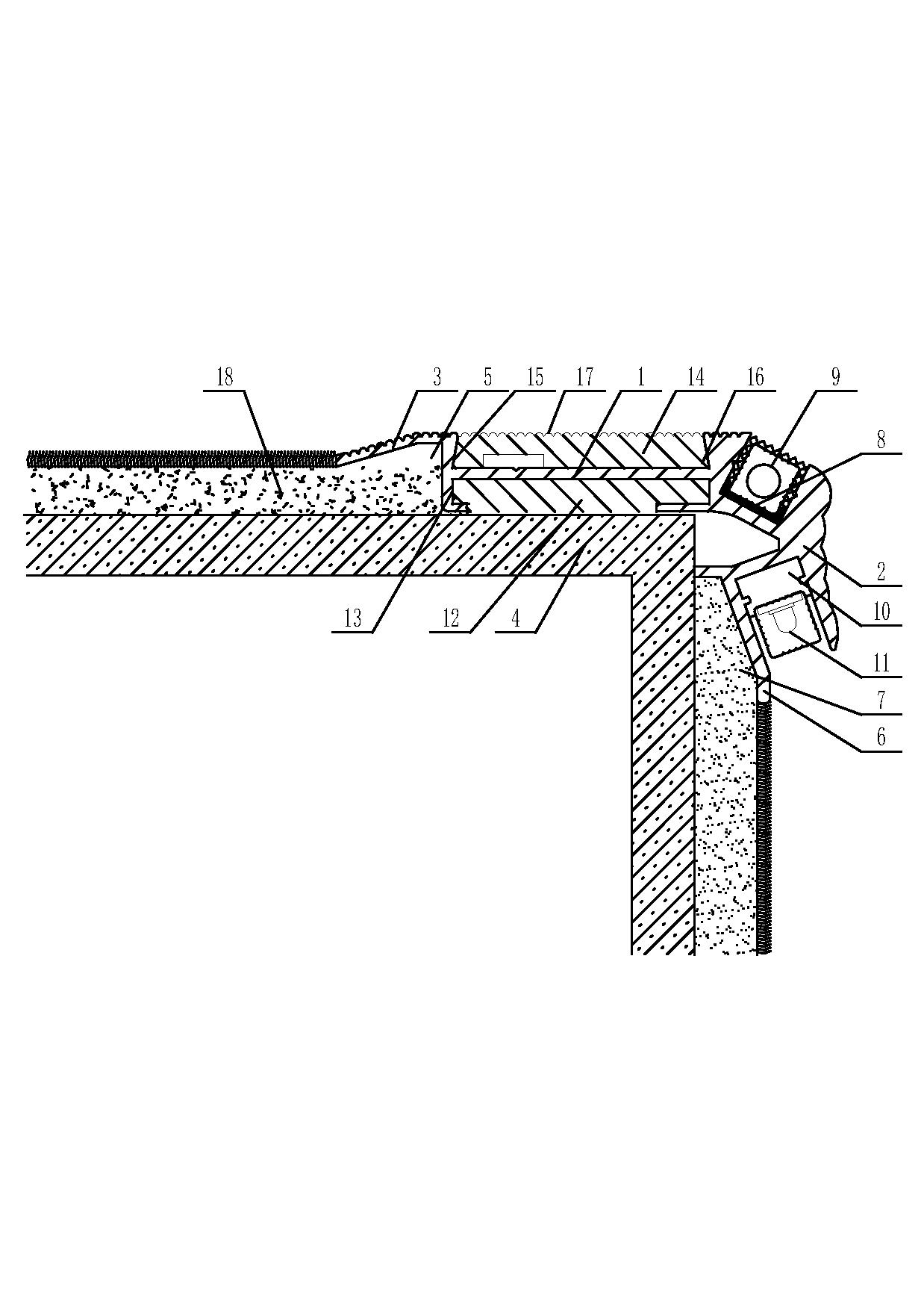 Multifunctional step pressure strip