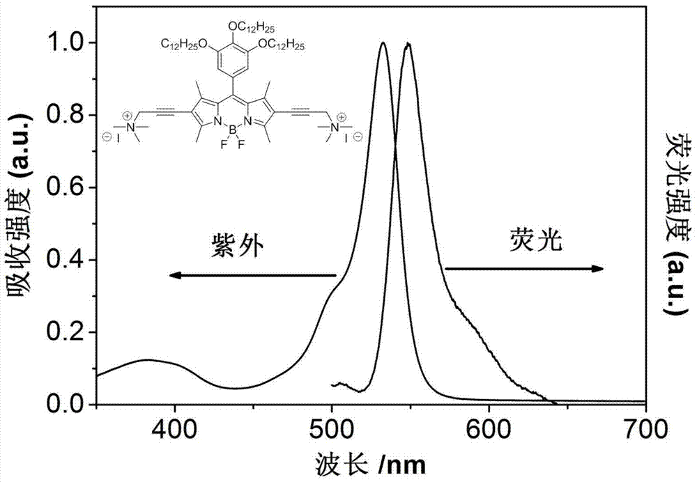 Boron fluoride dipyrrole fluorescent dye containing hydrophilic groups and preparation method thereof