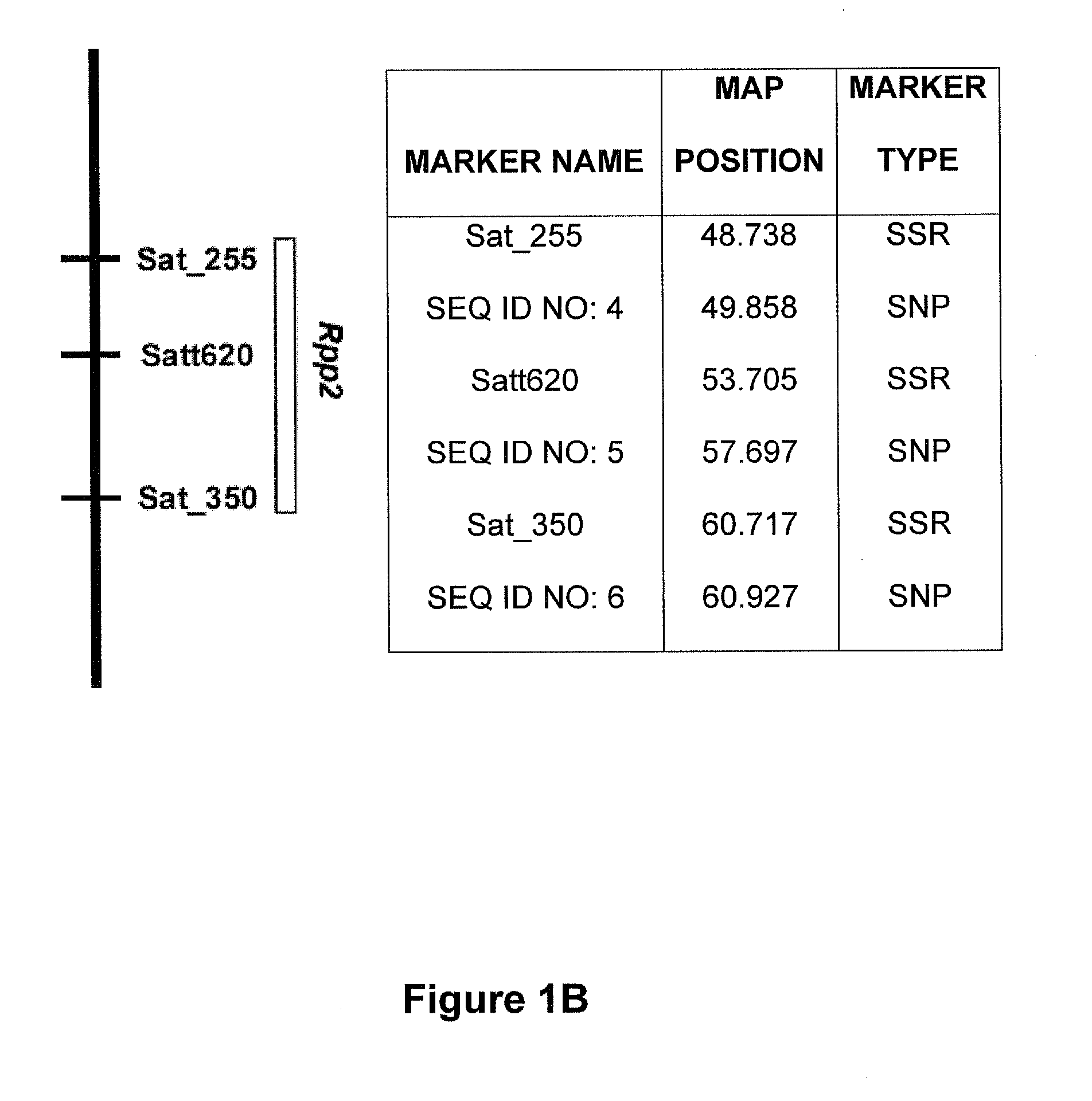 Markers associated with soybean rust resistance and methods of use therefor