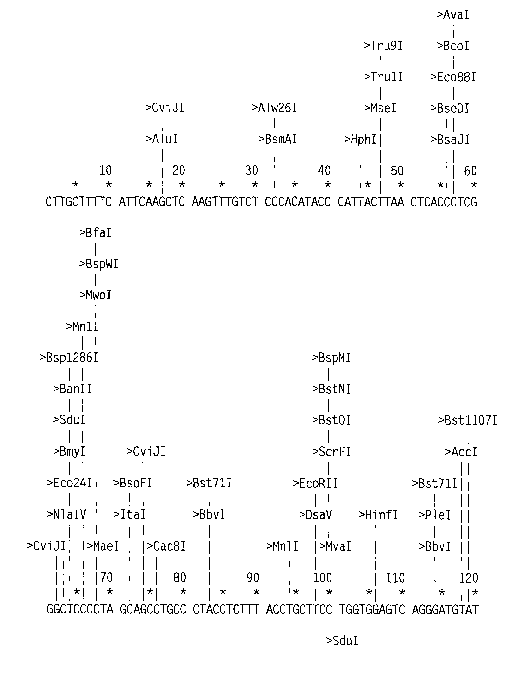 Compositions and methods for modulating tumor specific expression