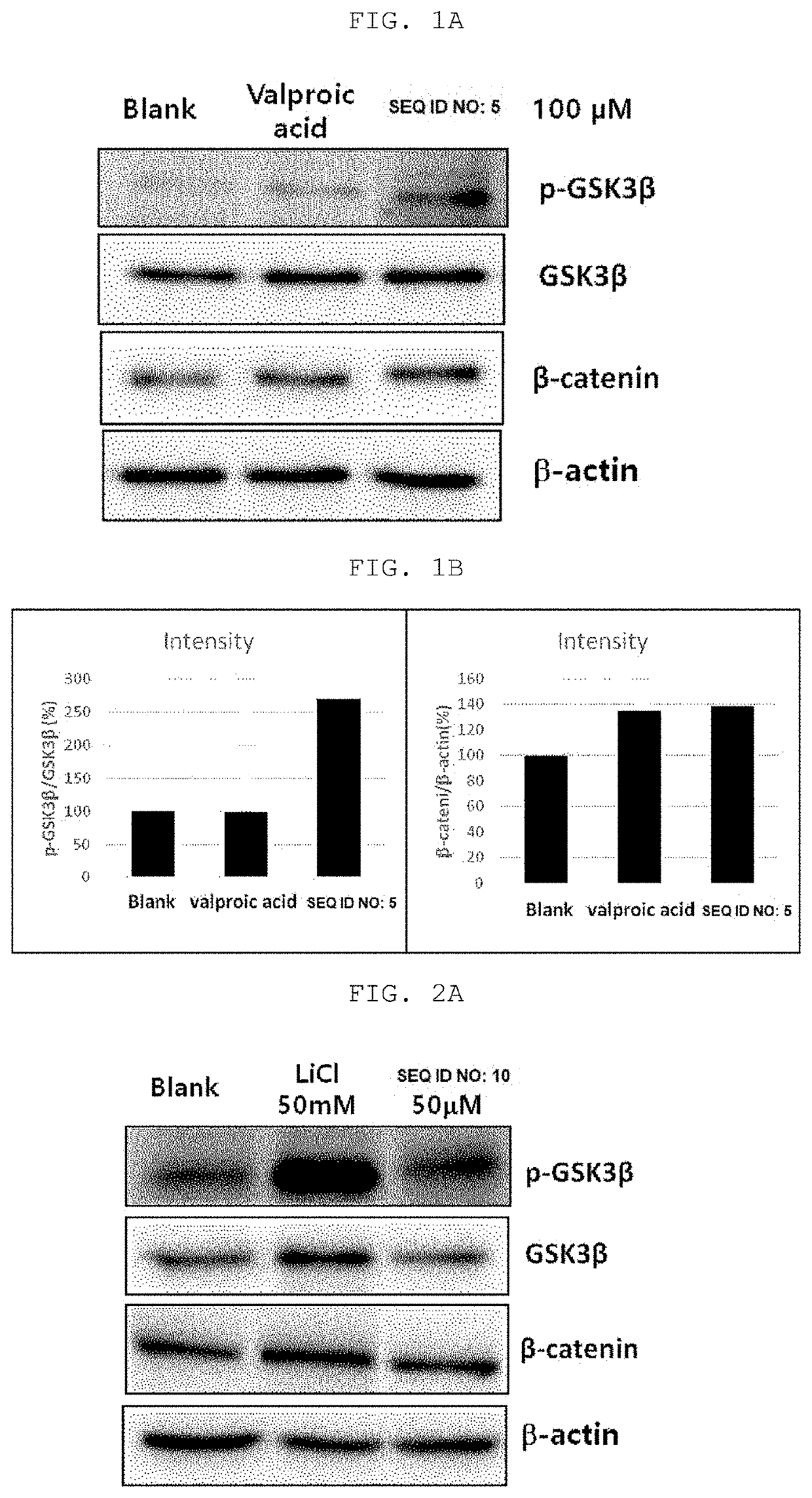 Peptide for reducing hair loss and promoting hair growth, and cosmetic composition and pharmaceutical composition comprising same