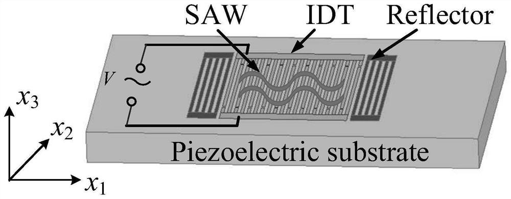 Frequency response characteristic analysis method of surface acoustic wave resonator based on dimensionality reduction PDE model