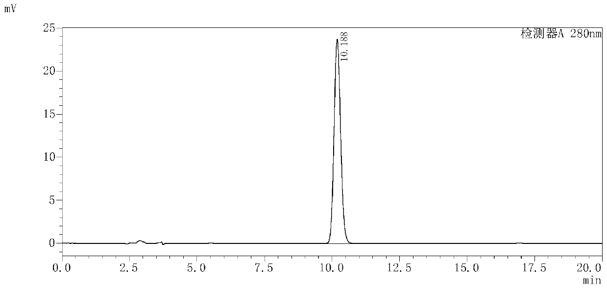 Detection method for evaluating quality of colquhounia root medicinal material