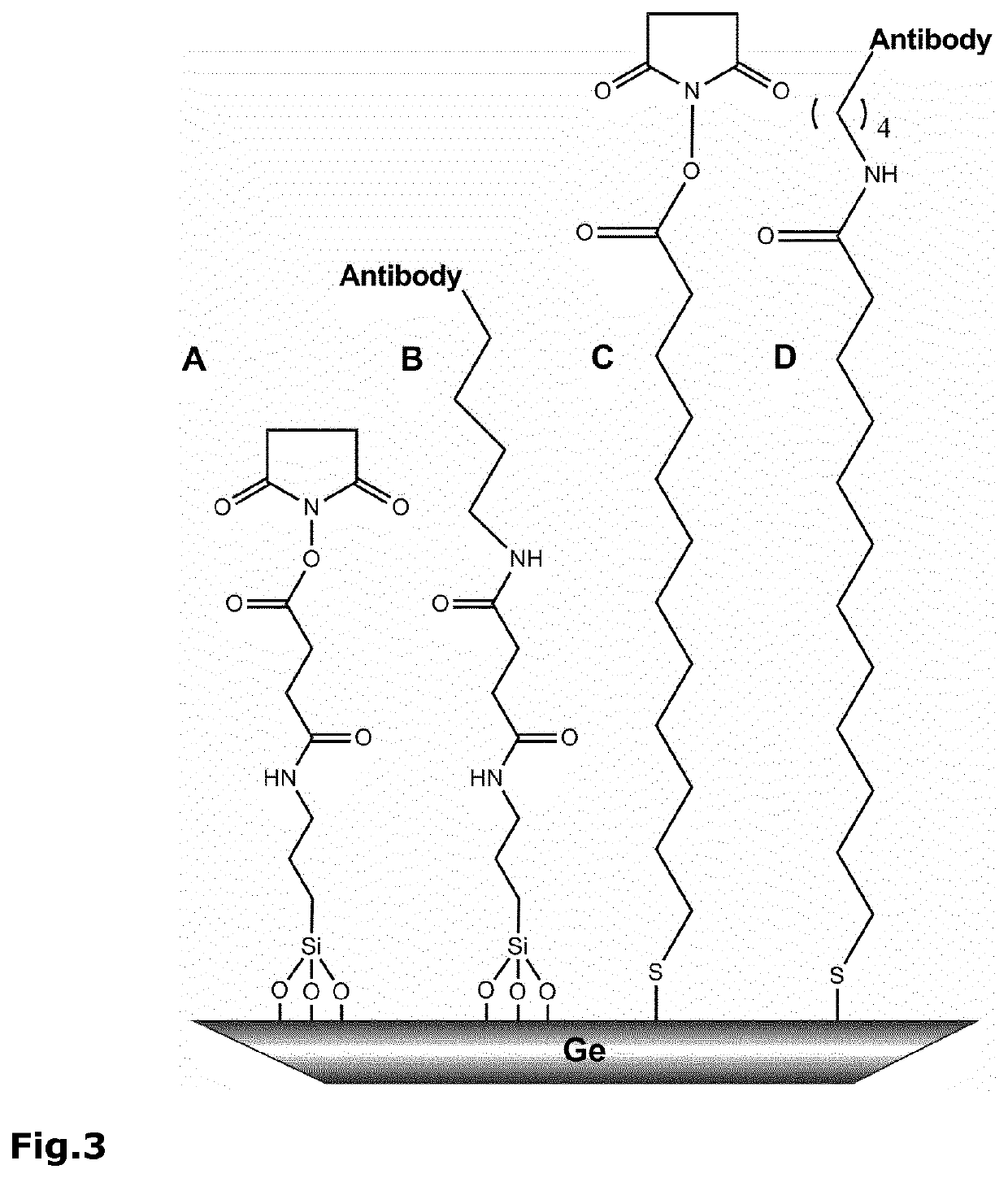 Biosensor for Conformation and Secondary Structure Analysis