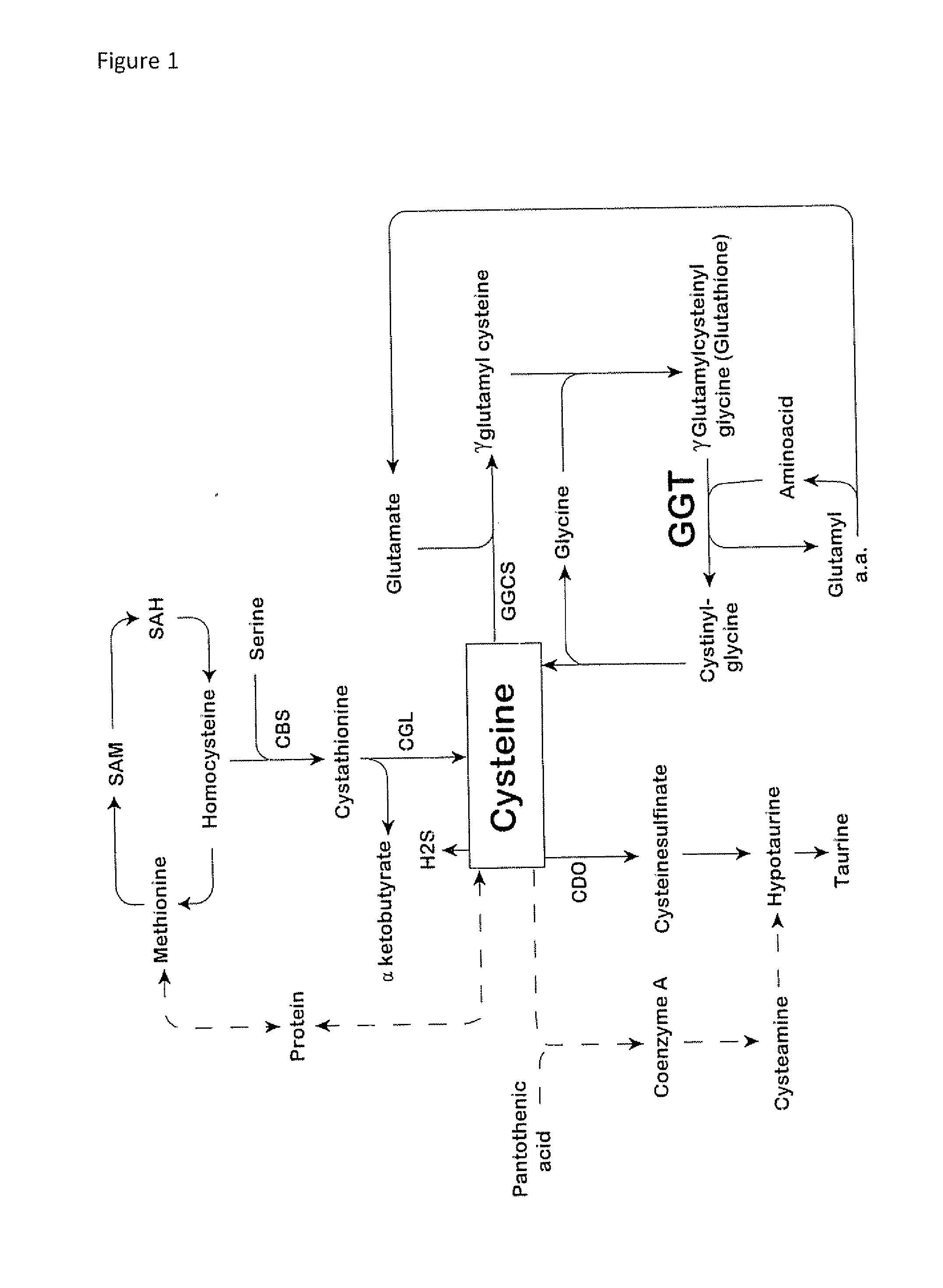 Treatment of obesity