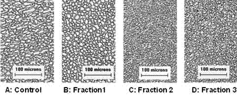 Anti-freeze polypeptide prepared by enzymolysis of cow leather collagen through papain