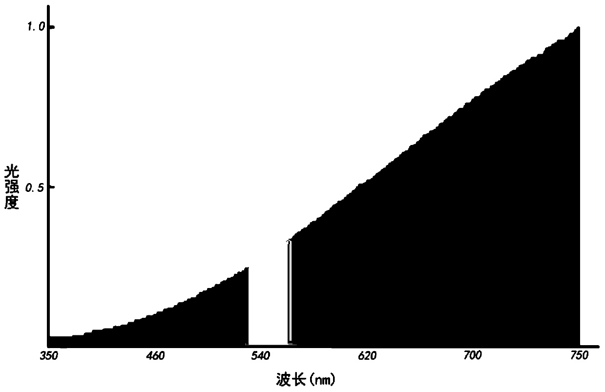 A method for cultivating tissue-cultured seedlings of golden camellia twigs under sunlight conditions