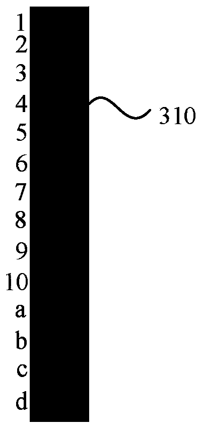 Intelligent carrier, navigation method and device thereof, equipment, and storage medium