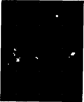 Method for eliminating functional magnetic resonance data noise based on independent component space relativity