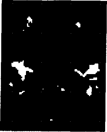 Method for eliminating functional magnetic resonance data noise based on independent component space relativity