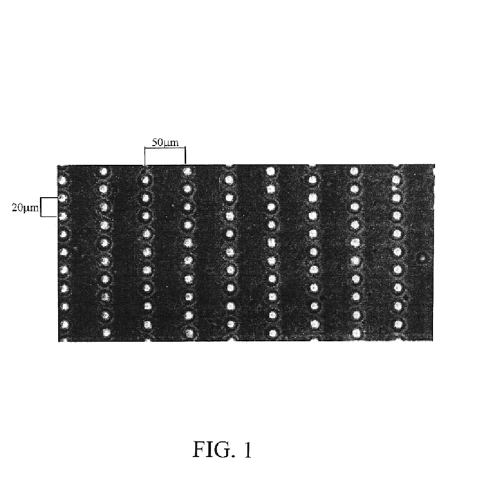 Microfabrication of membranes containing projections and grooves for growing cells