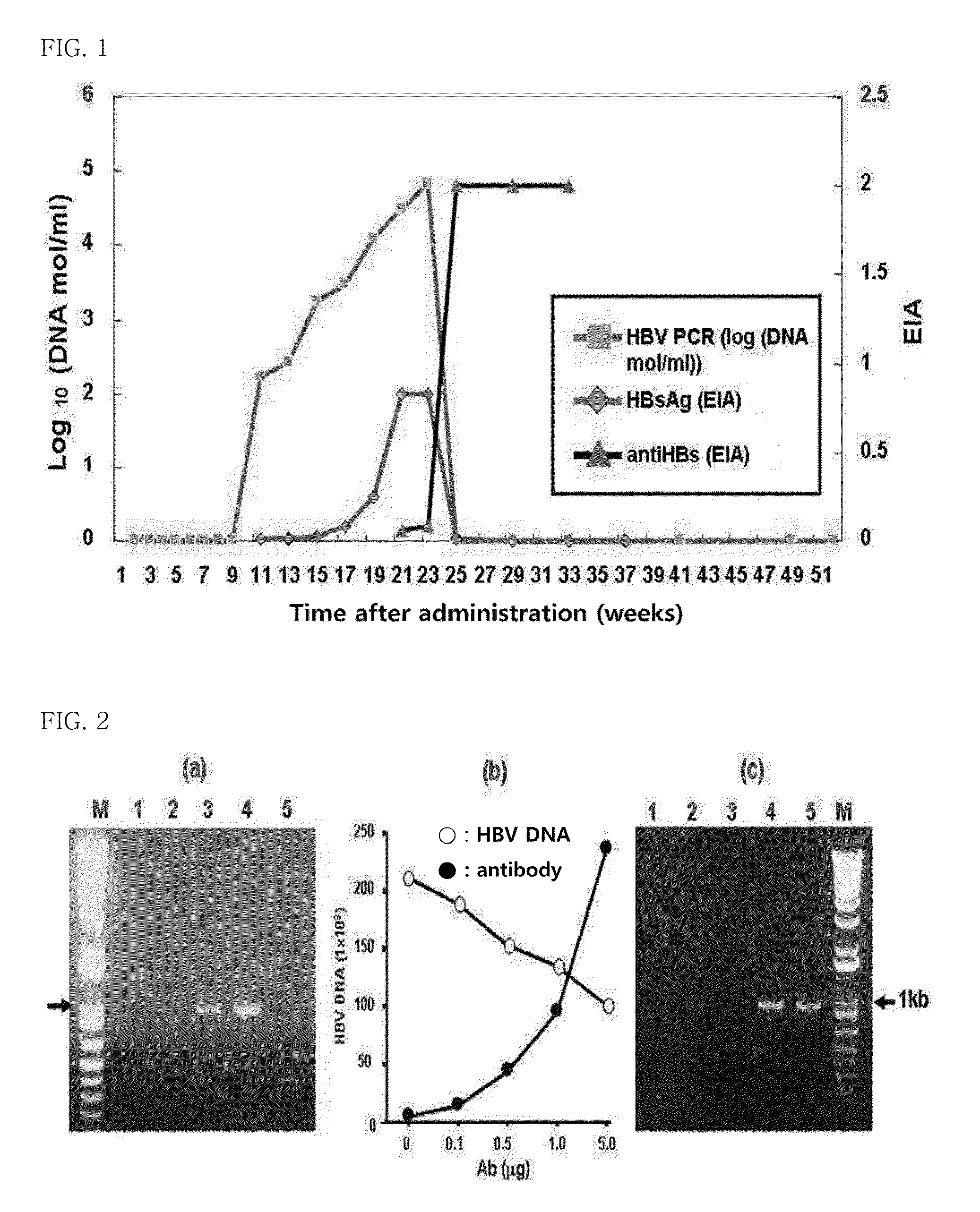 Antibody composition for prevention or treatment of mutant hepatitis b virus infection