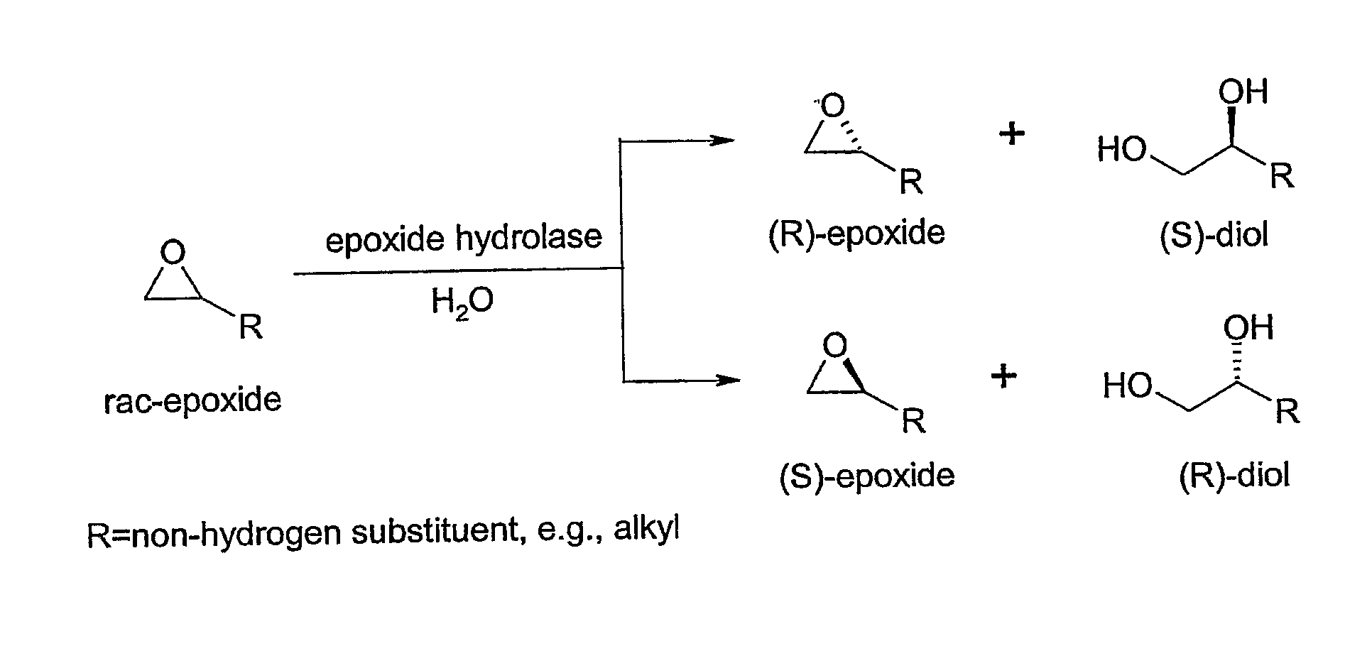 Microbial kinetic resolution of ethyl-3,4-epoxybutyrate