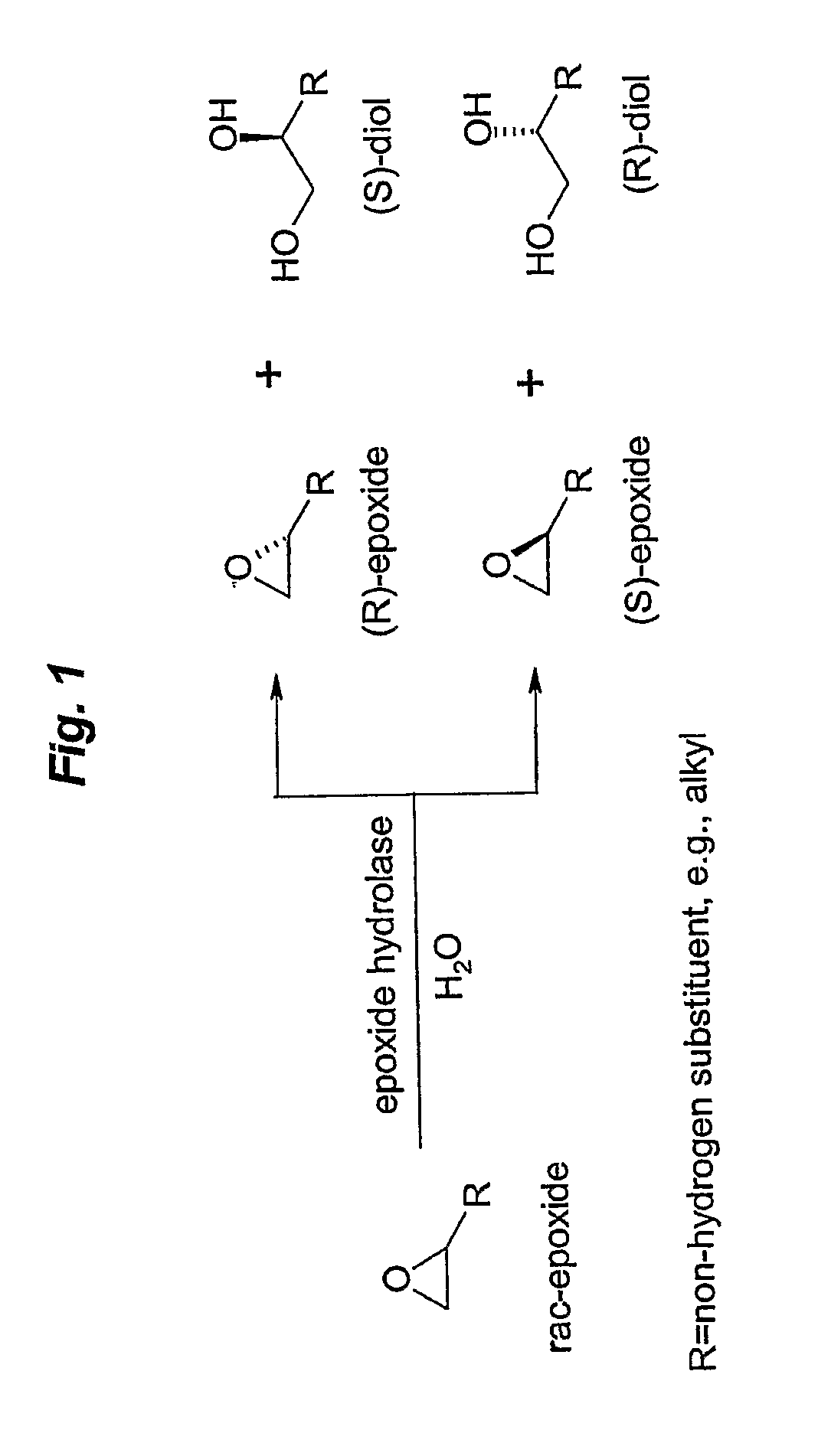 Microbial kinetic resolution of ethyl-3,4-epoxybutyrate