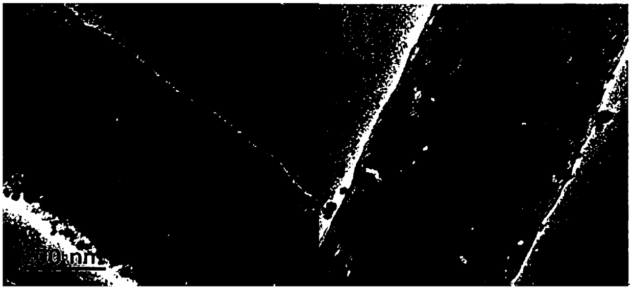 Copper-cobalt bimetal/porous carbon nanofiber composite material, and preparation method and application thereof