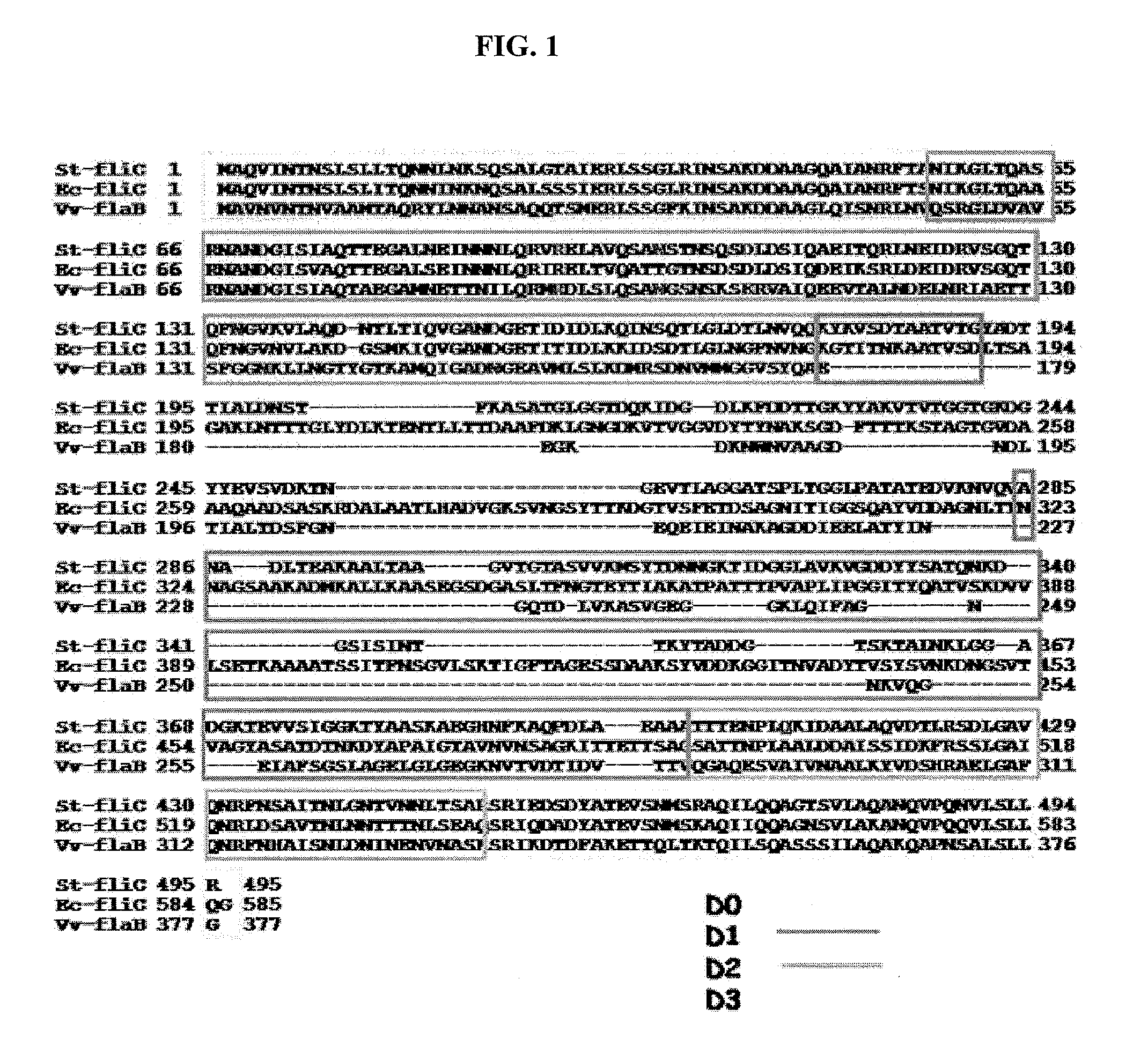 Modified flagellin improved toll-like receptor 5 stimulating activity