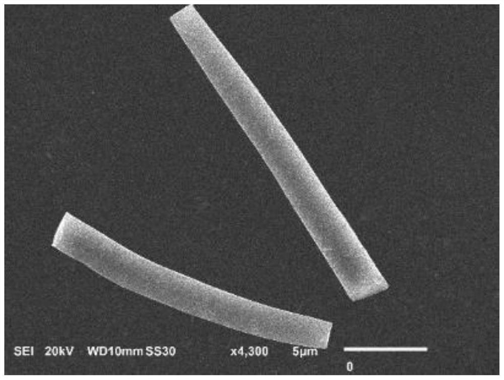 protein-fes  <sub>2</sub> Bioconjugated nanofibers and their preparation and use