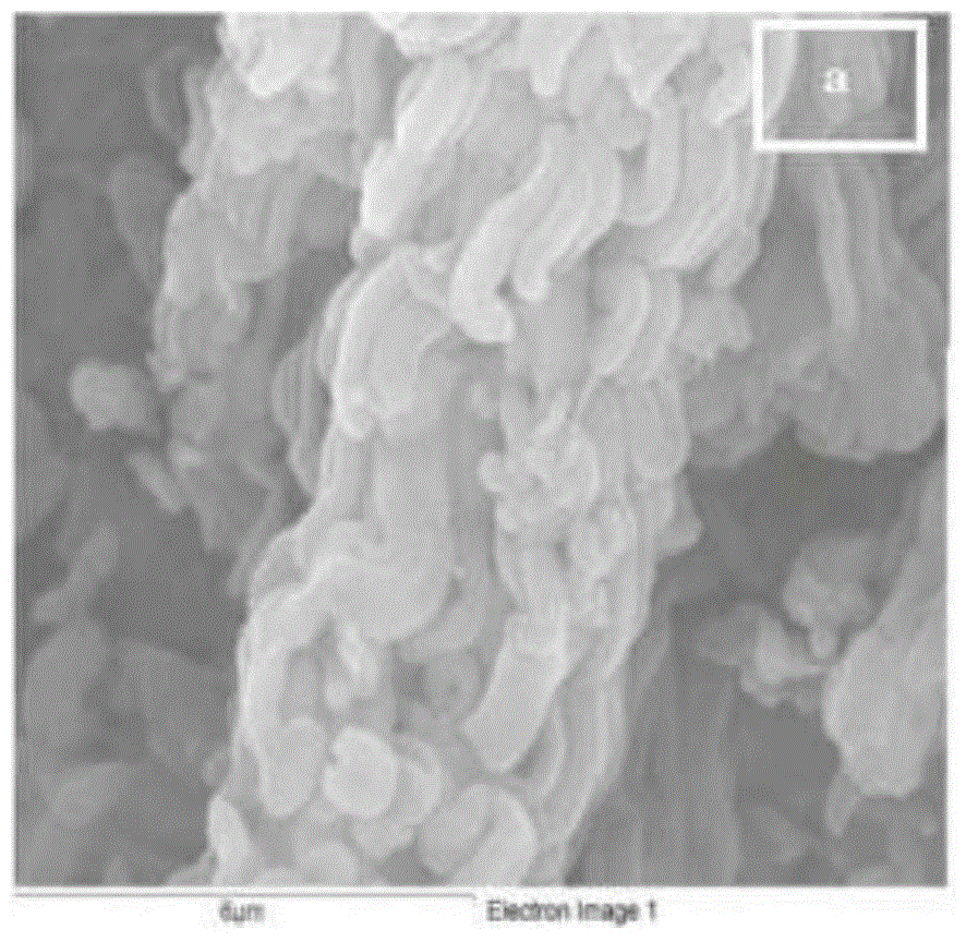 Preparation method of high-oil-absorption and biodegradable lignin-based microporous molecular sieve