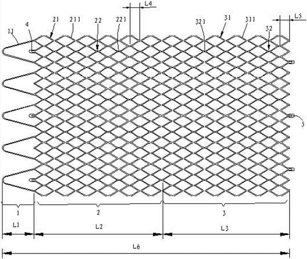 A kind of vascular stent, its preparation method and application