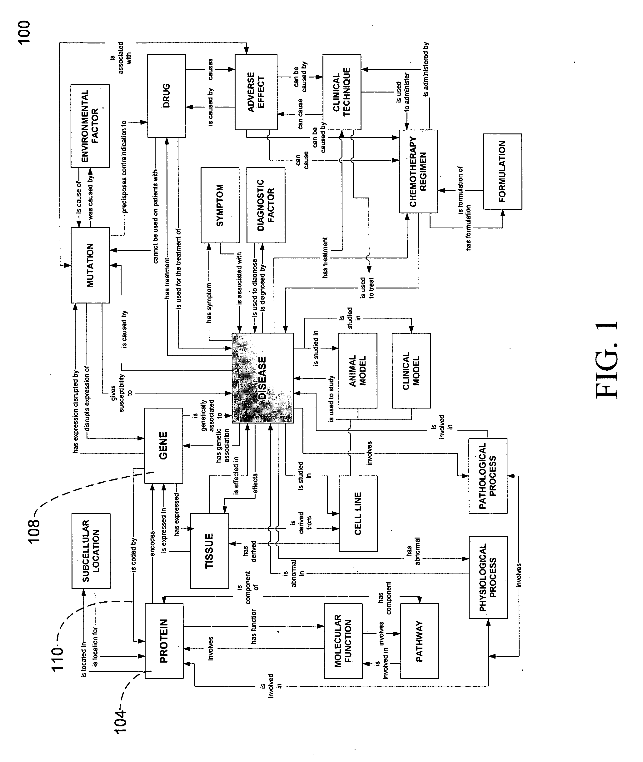 System and method for graphically displaying ontology data