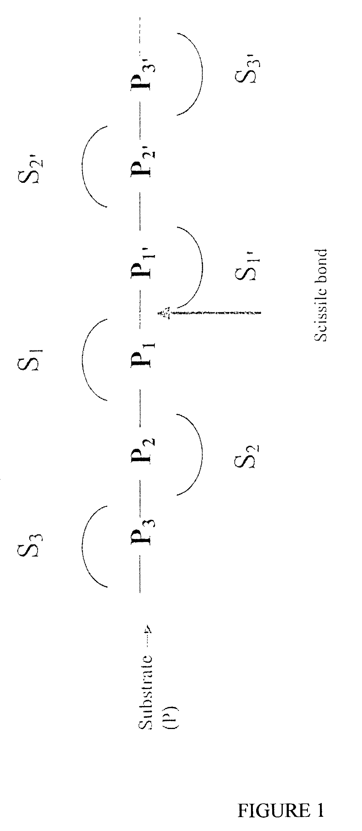 Selective substrates for matrix metalloproteinases