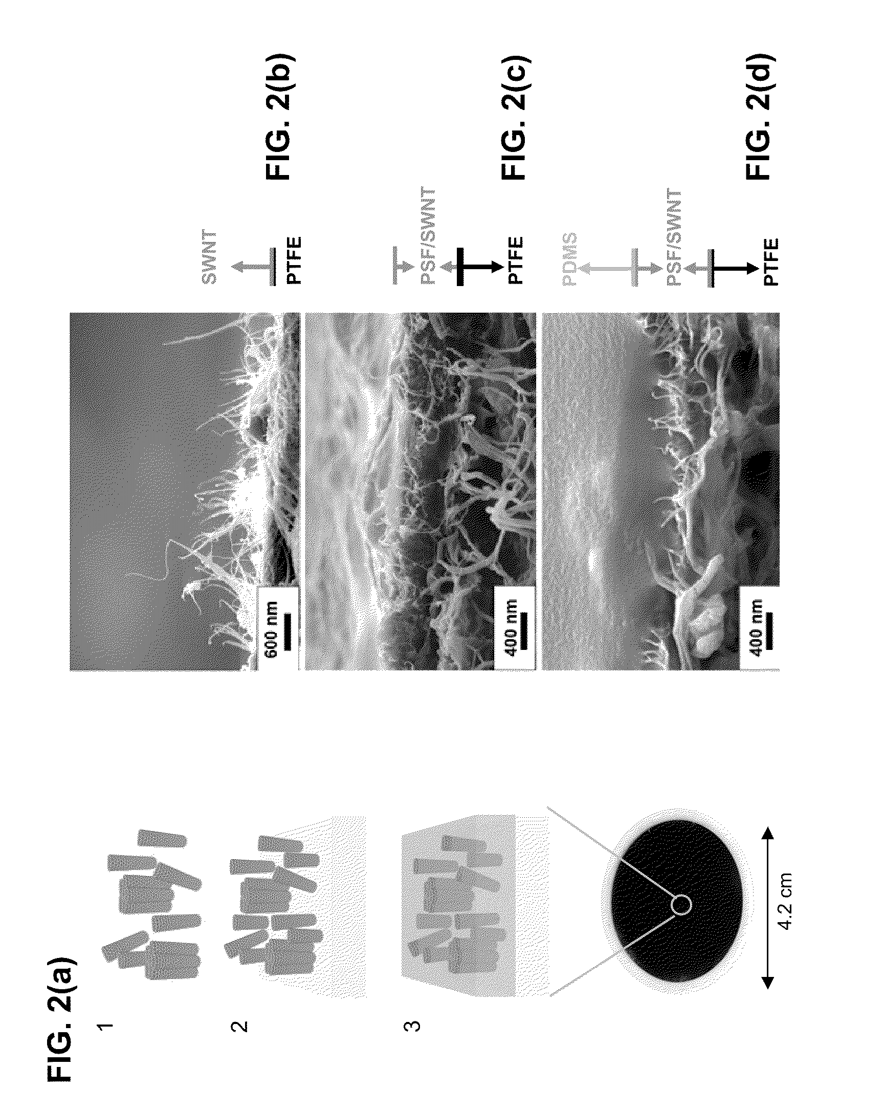 Method for making oriented single-walled carbon nanotube/polymer nano-composite membranes