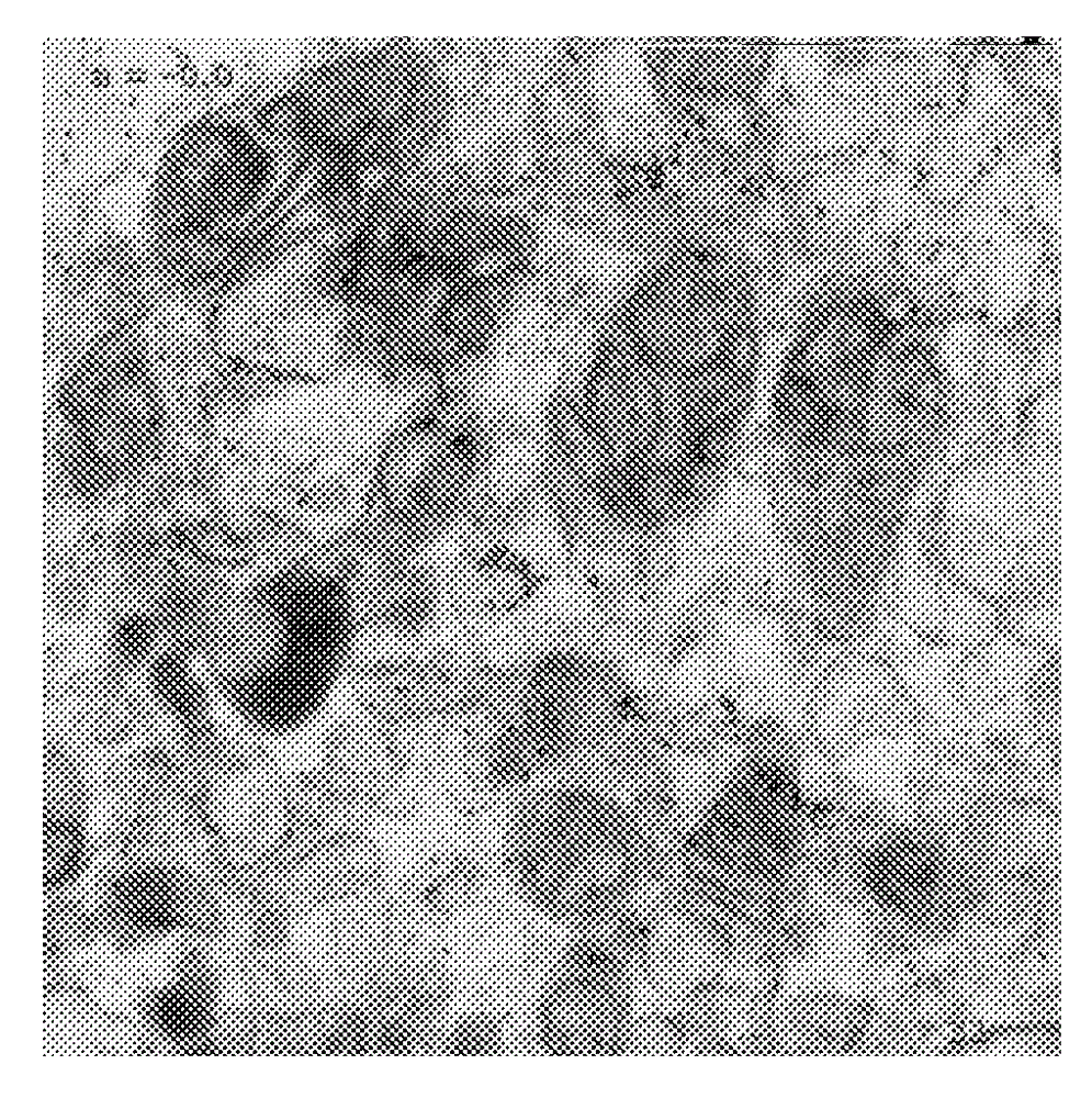 Method of performing tomographic imaging of sample in charged-particle microscope