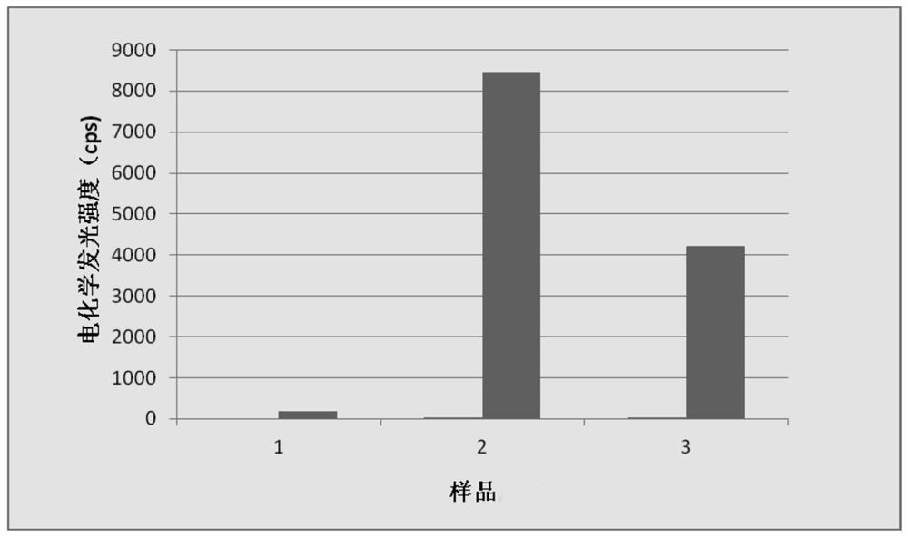 Gene detection probe and gene detection method