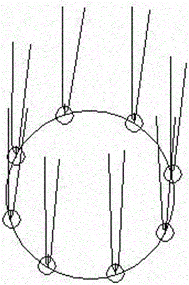 Cultivation method of large landscape tree