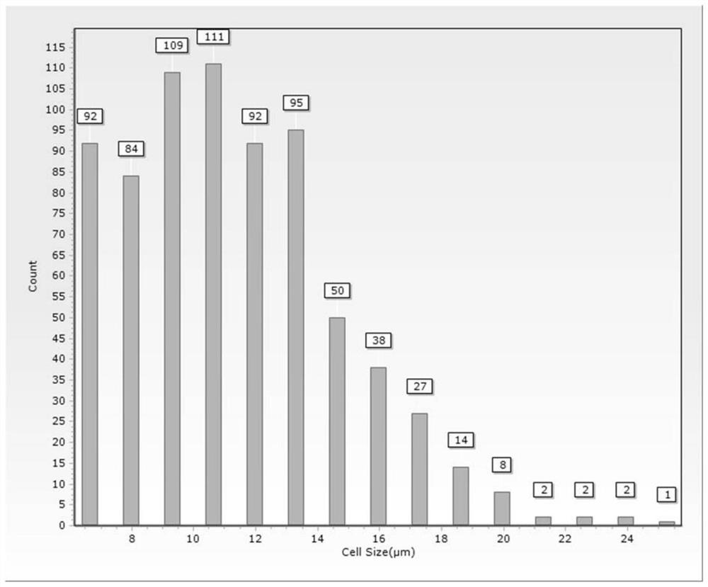 Preparation method and application of pulmonary artery tissue unicellular suspension