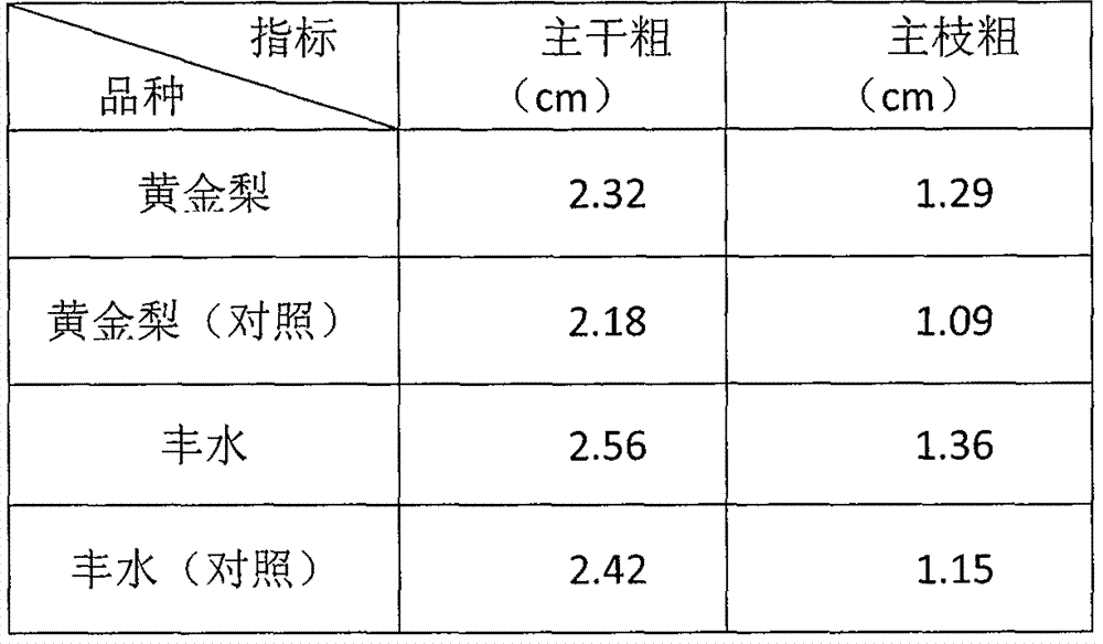 Reshaping and cultivating method of pear tree with single trunk and two main branches