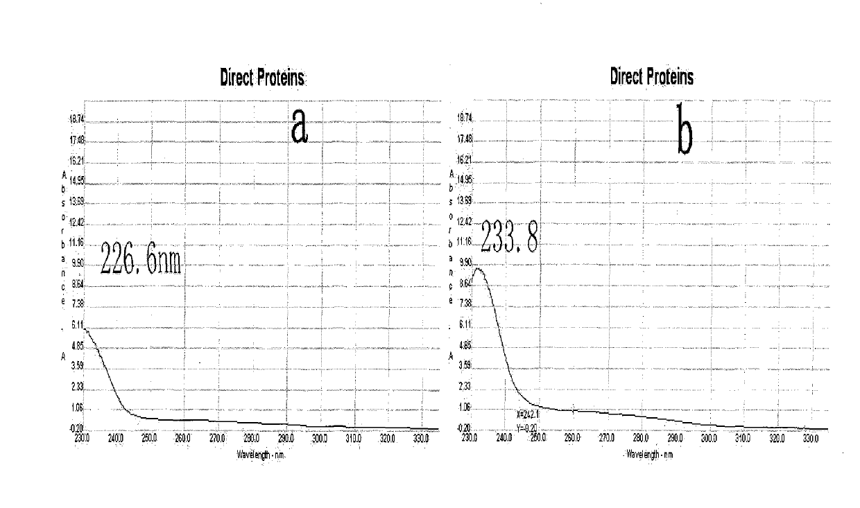 Preparation method for I/II collagen double-layer composite collagen membrane