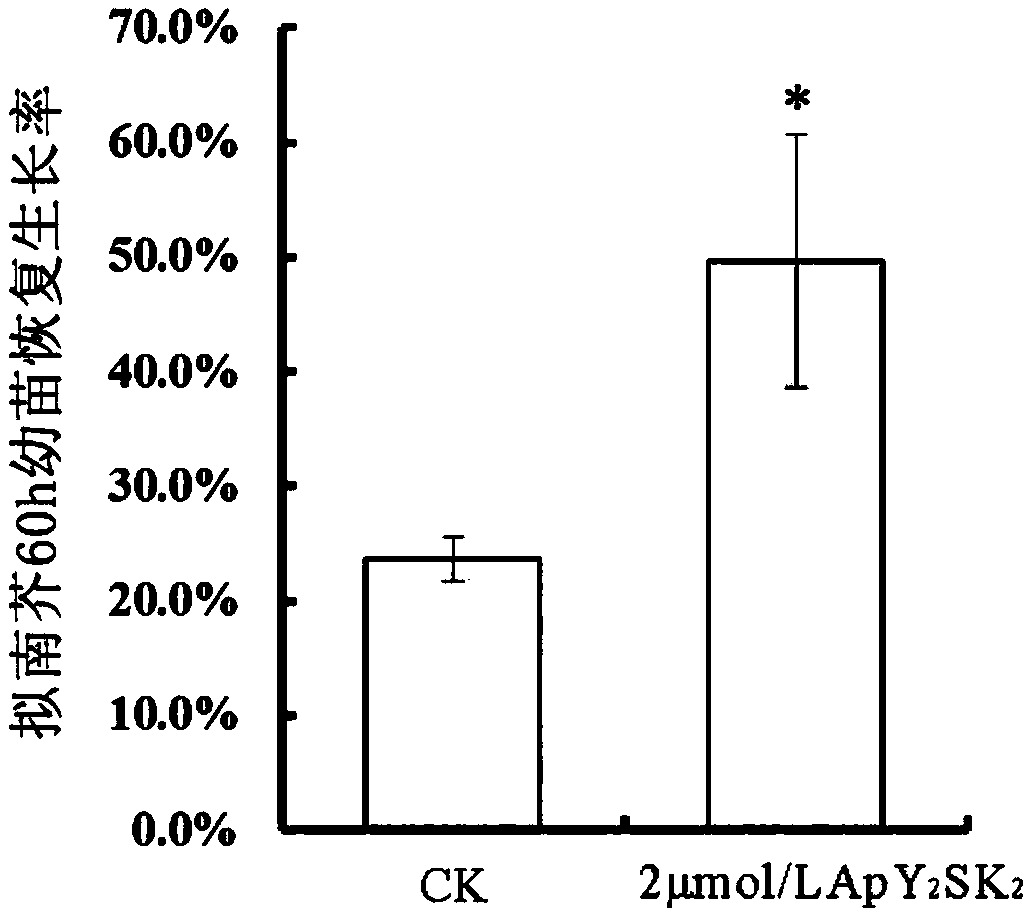 Y2SK2 dehydrin reducing cell stress damage and improving ultralow temperature storage effect