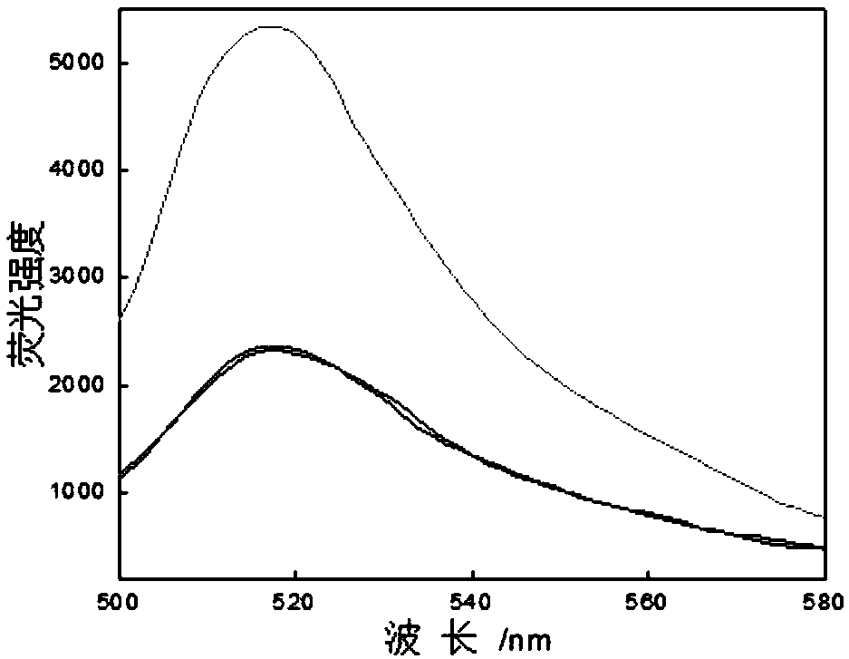 Spherical nucleic acid probe and preparation method and application thereof