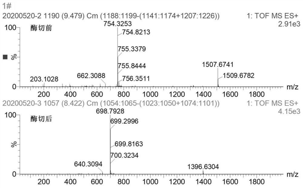 Method for separating and identifying bitter polypeptides in yellow rice wine