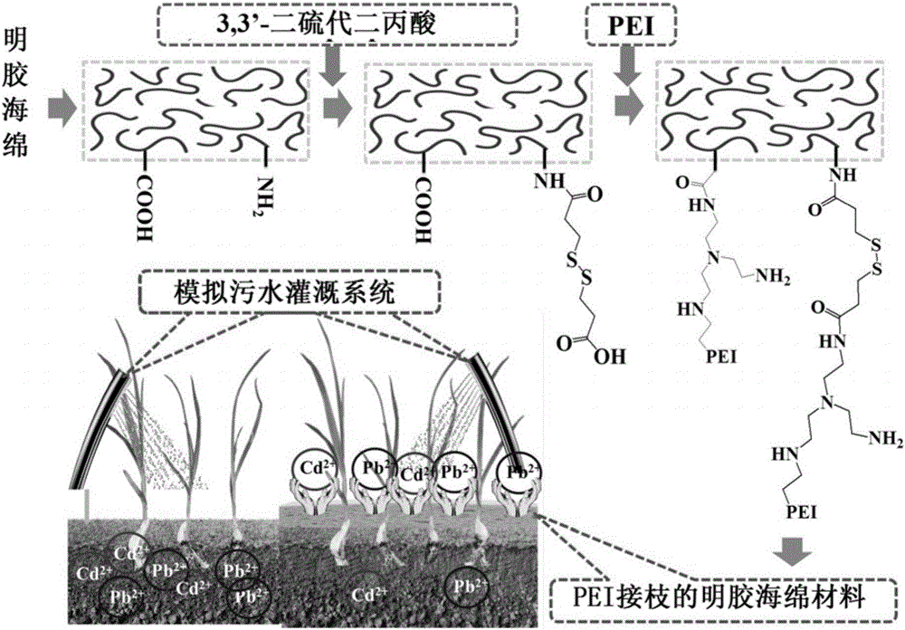 Preparation of PEI-grafted gelatin sponge and application of PEI-grafted gelatin sponge in heavy metal sewage treatment