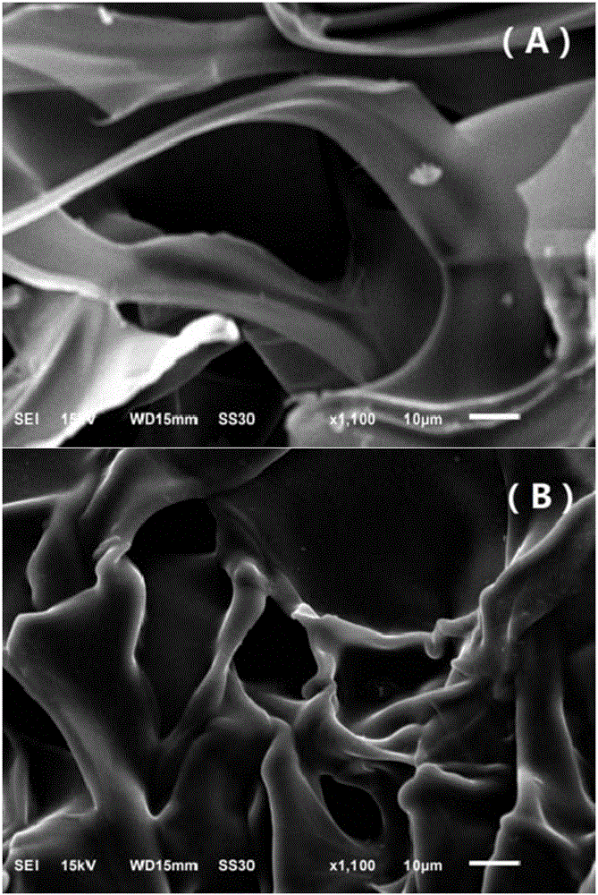 Preparation of PEI-grafted gelatin sponge and application of PEI-grafted gelatin sponge in heavy metal sewage treatment