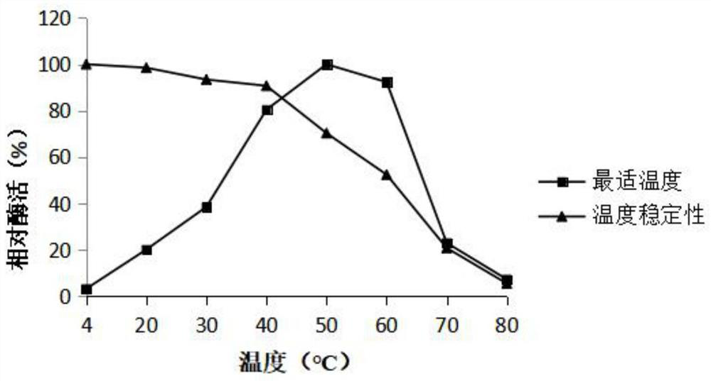 Alginate lyase producing strain and application thereof