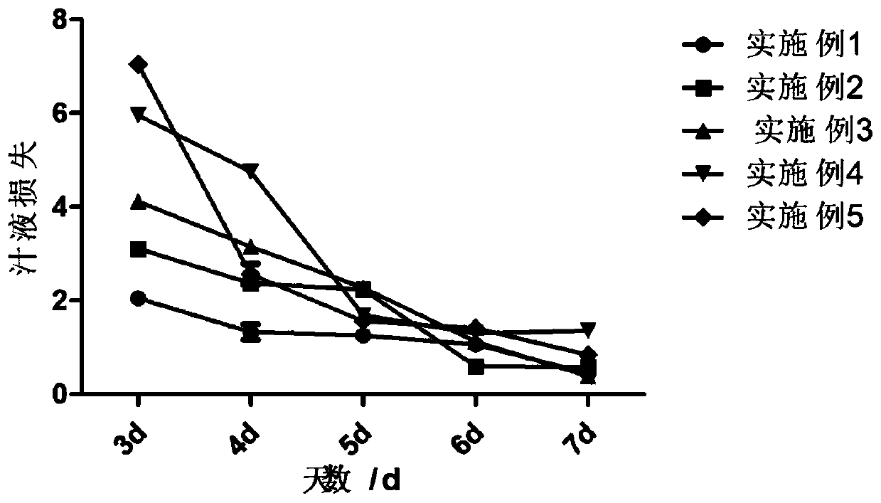 Food preservative and preparation method thereof