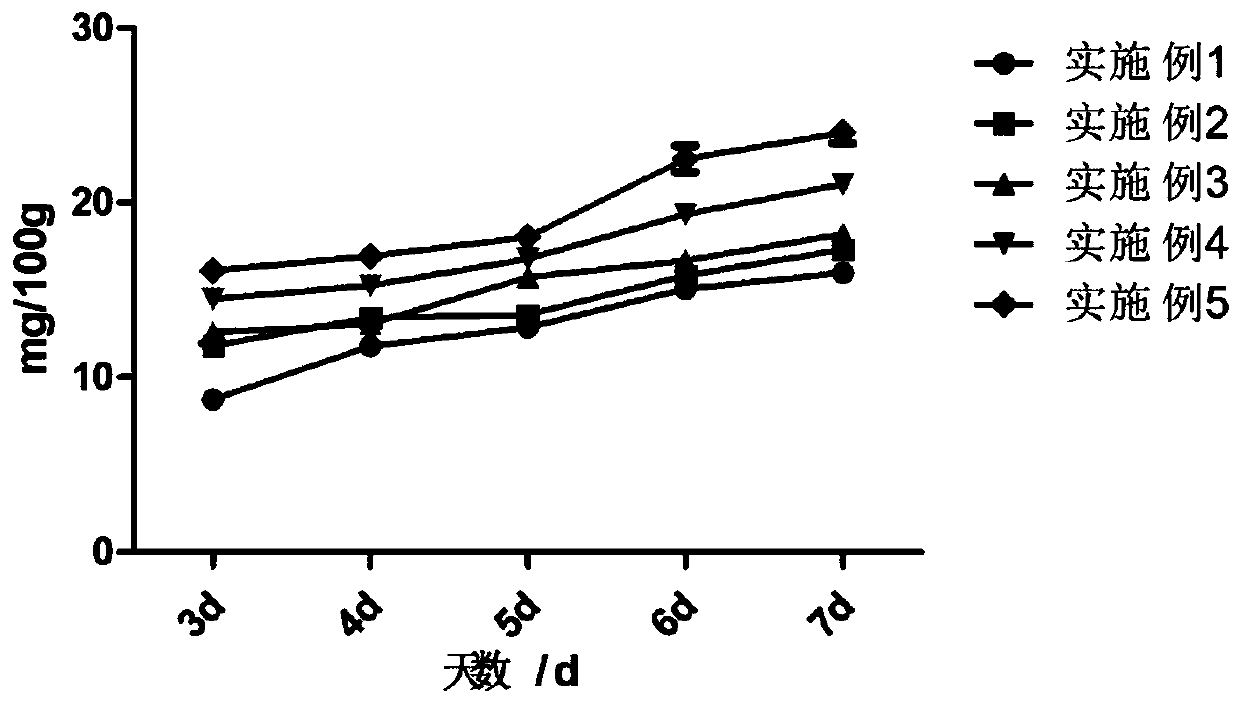 Food preservative and preparation method thereof