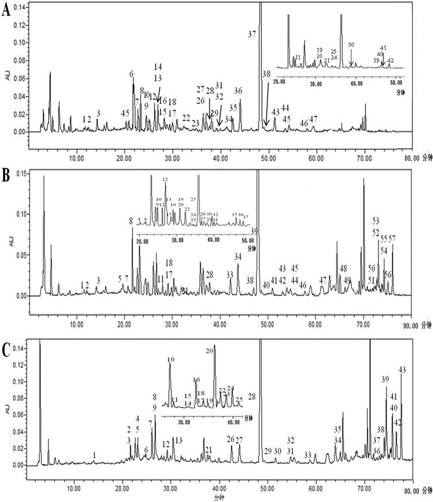 Composition with salviae miltiorrhiza and safflower as well as preparation method and application thereof