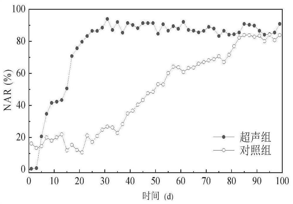 Method for screening short-cut nitrifying bacteria by using low-intensity ultrasonic waves and application thereof