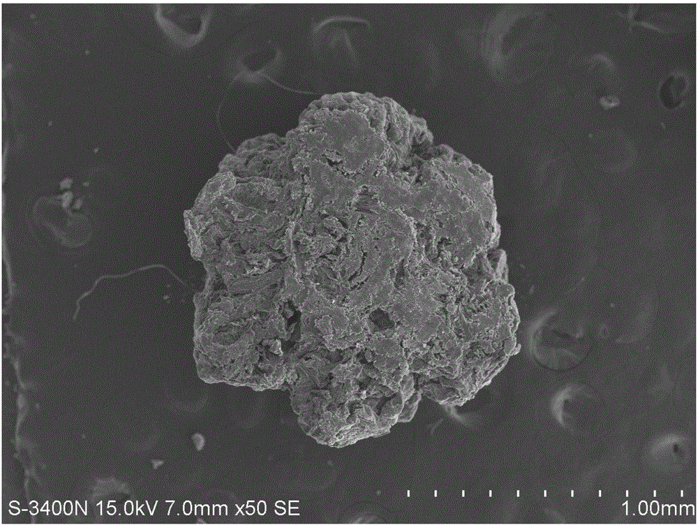 Oxygen-doped surface modification silkworm excrement based hierarchical pore carbon material and preparation method and application thereof