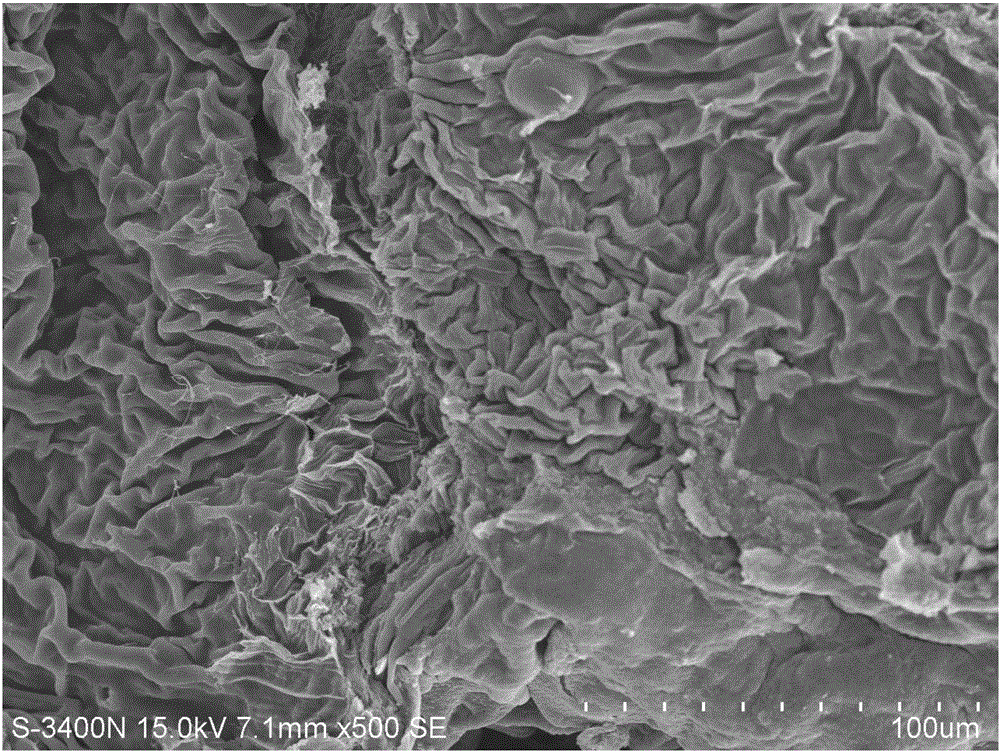 Oxygen-doped surface modification silkworm excrement based hierarchical pore carbon material and preparation method and application thereof