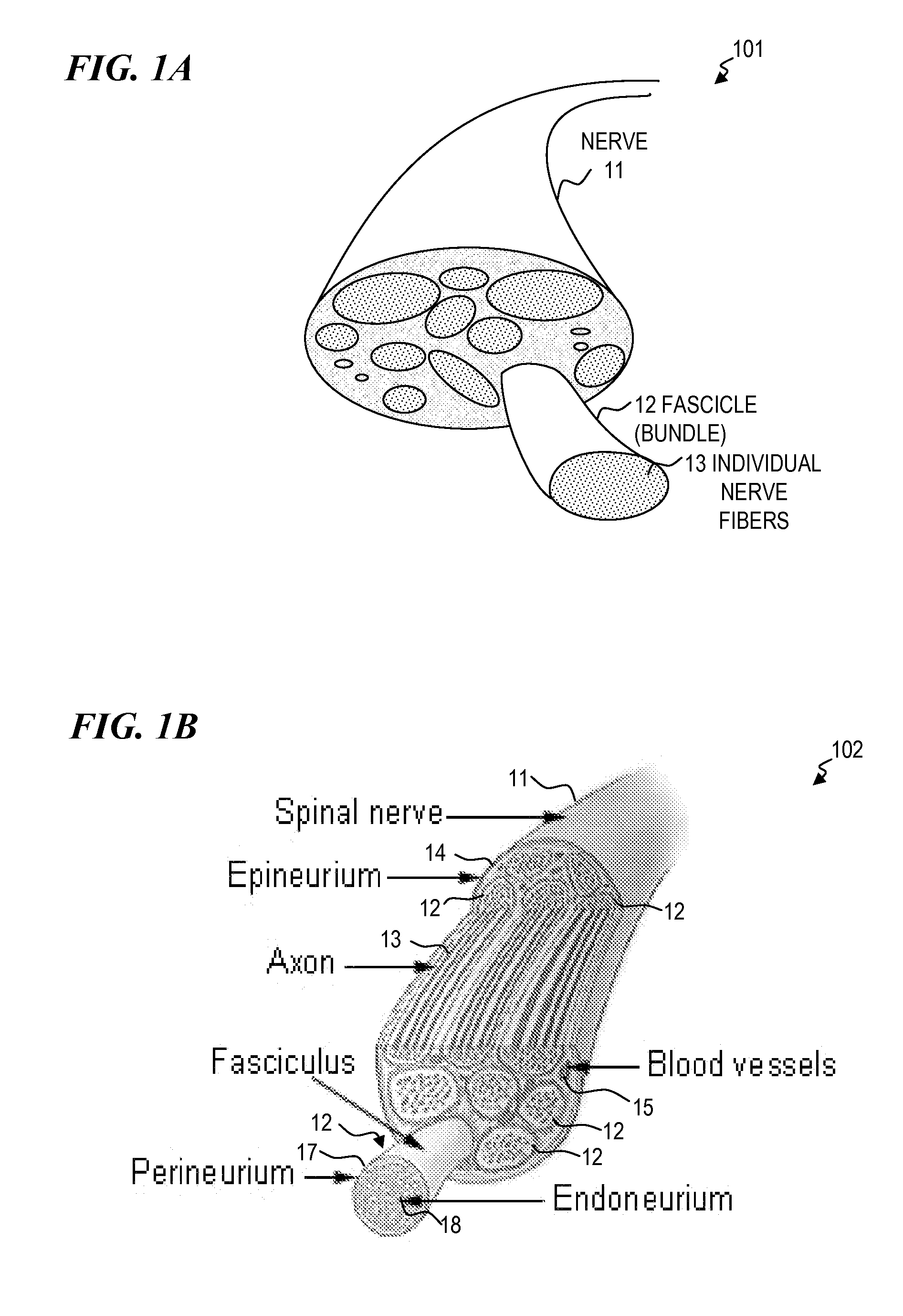 Nerve stimulator and method using simultaneous electrical and optical signals