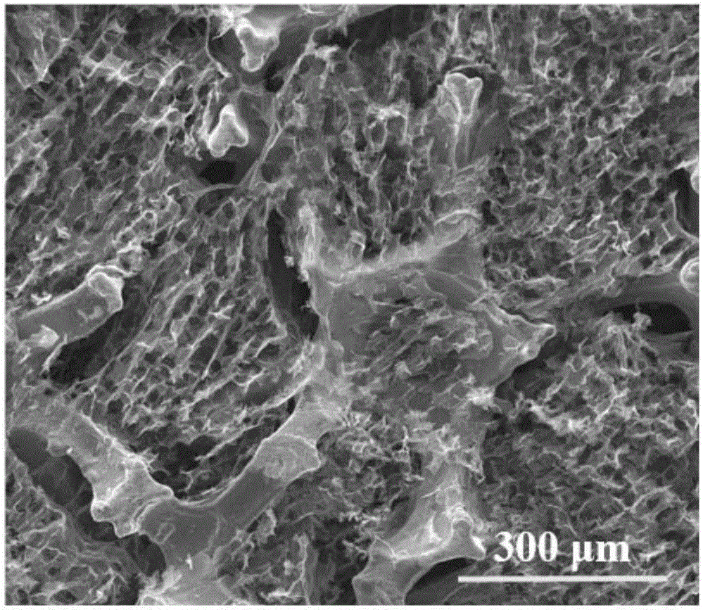 Oxygen-containing functional group gradient distribution reduced graphene oxide/graphene foam composite and application thereof to vanadium redox batteries