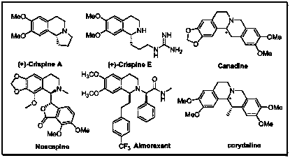 1-substituted isoquinoline ketone compound and preparation method thereof