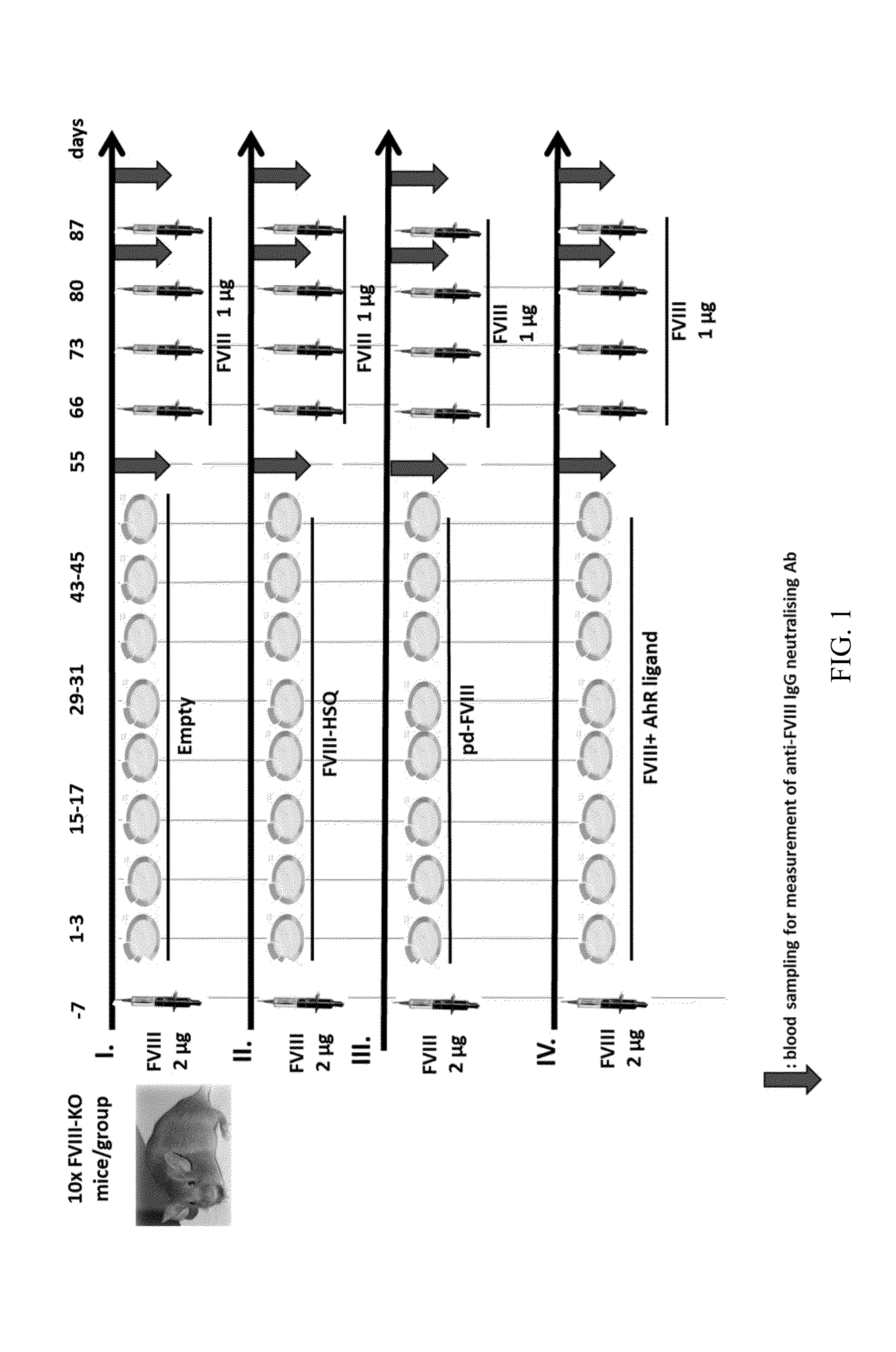 Method of treating haemophilia by inducing tolerance to blood factors