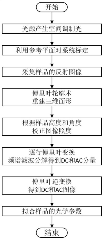 A method and measuring device for measuring tissue morphology and optical parameters based on spatial frequency domain imaging