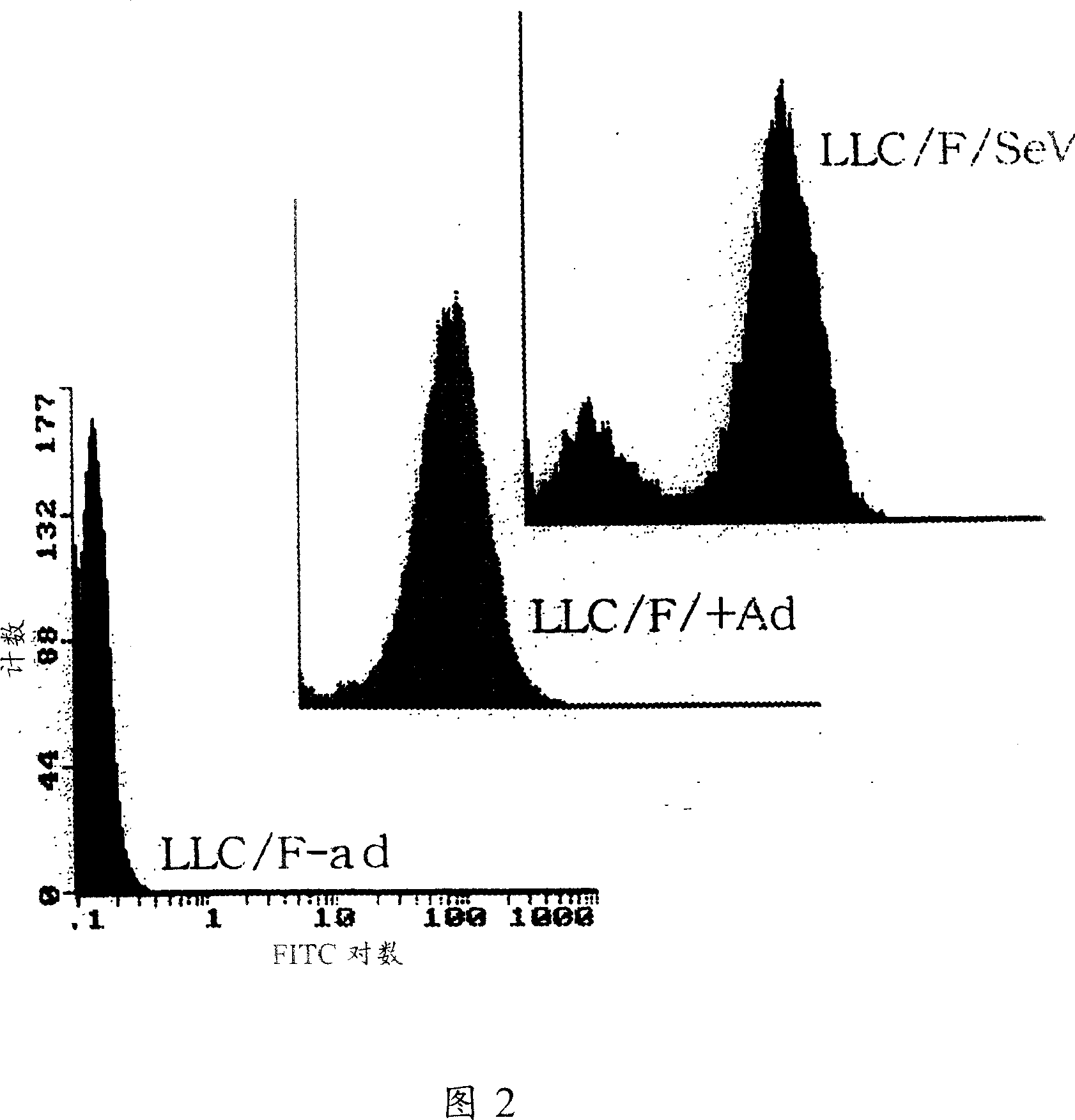 Paramyxorividae virus vector defective in envelope gene